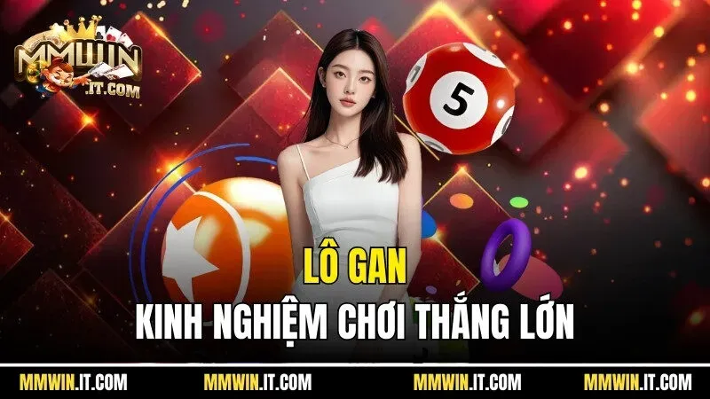 Hướng dẫn kiểm tra thông tin New88